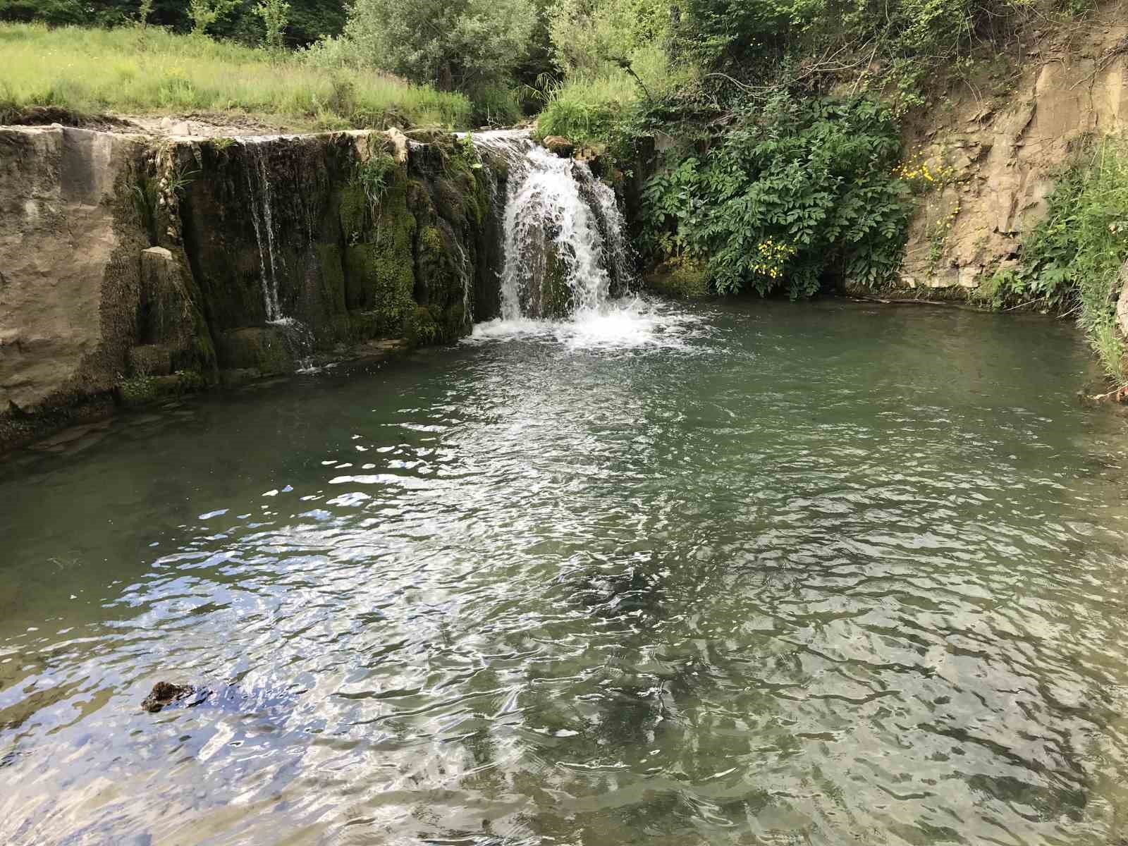 Mahallelinin 'şelale' talebi