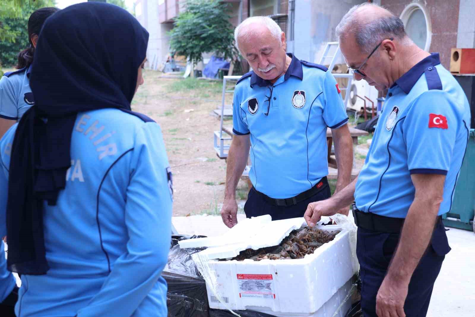 Antalya Otobüs Terminali'nde kerevit operasyonu: 90 kilogram ele geçirildi