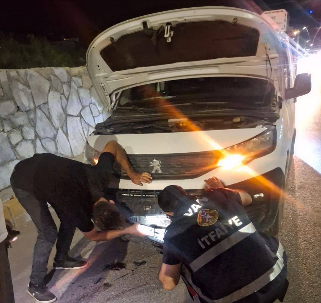 Van'da kamyonetin çarptığı köpeği kurtardı