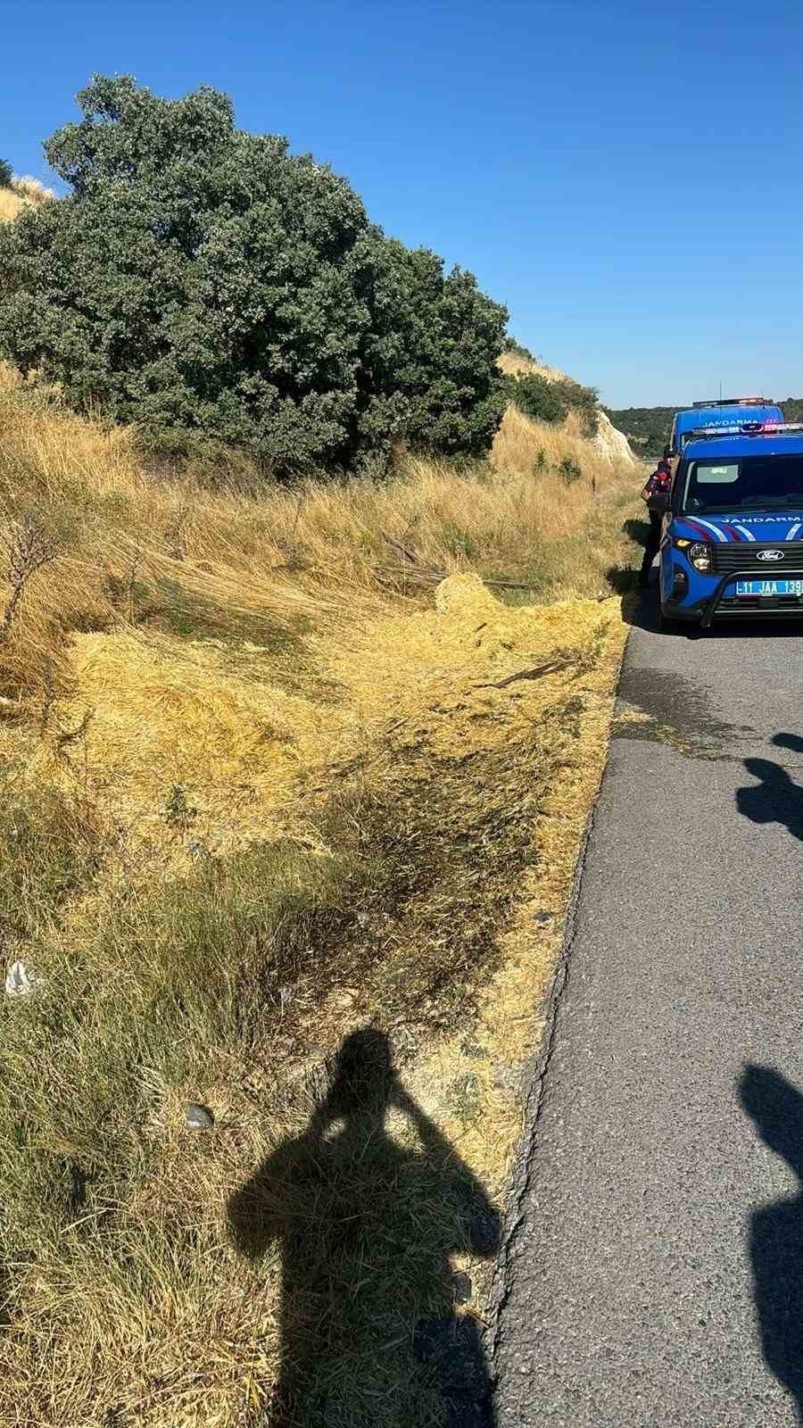 Bilecik’te sigara izmariti yangına neden oldu