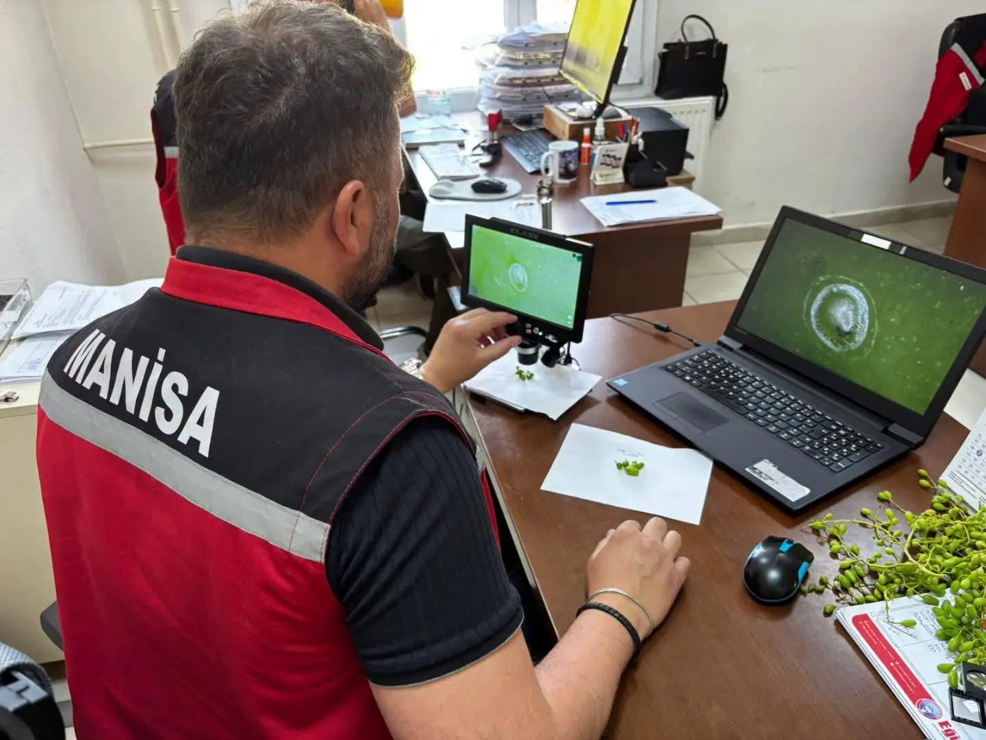 Manisa’da 102 istasyondan gelen verilerle üreticiye erken uyarı