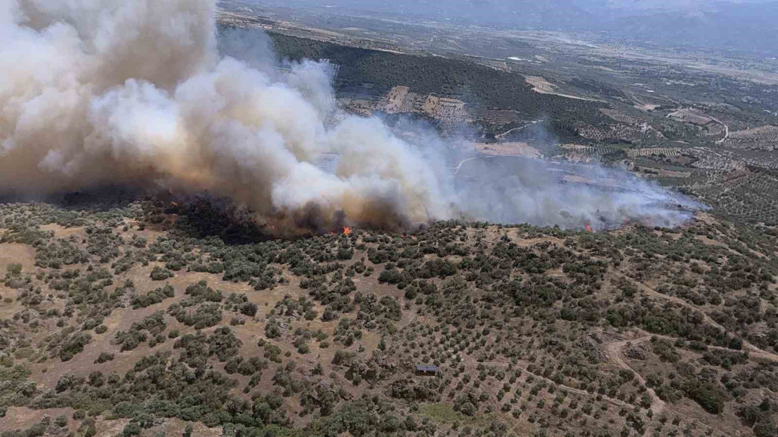 Yazıkent'te yangını büyüten rüzgar bugün de etkisini sürdürecek
