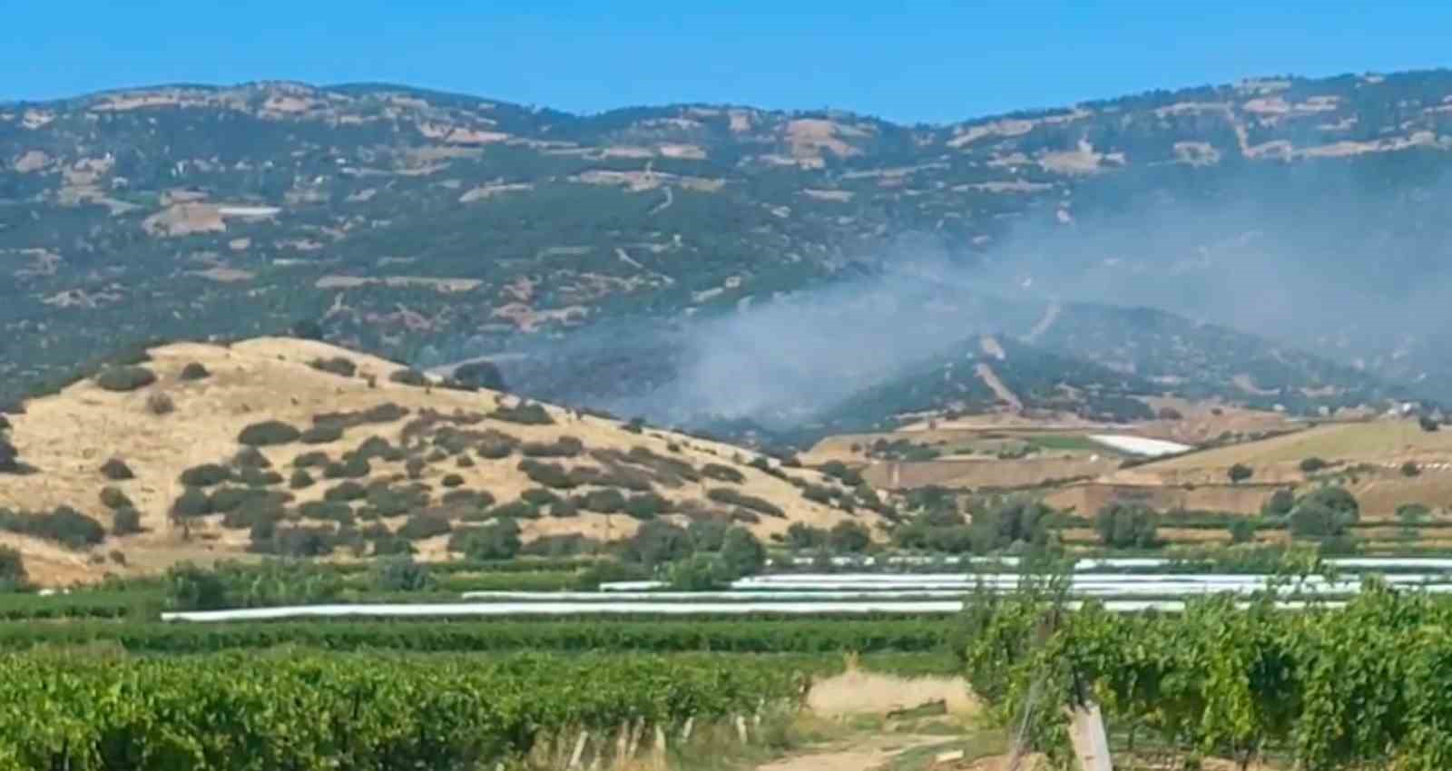 Sarıgöl'de orman yangını