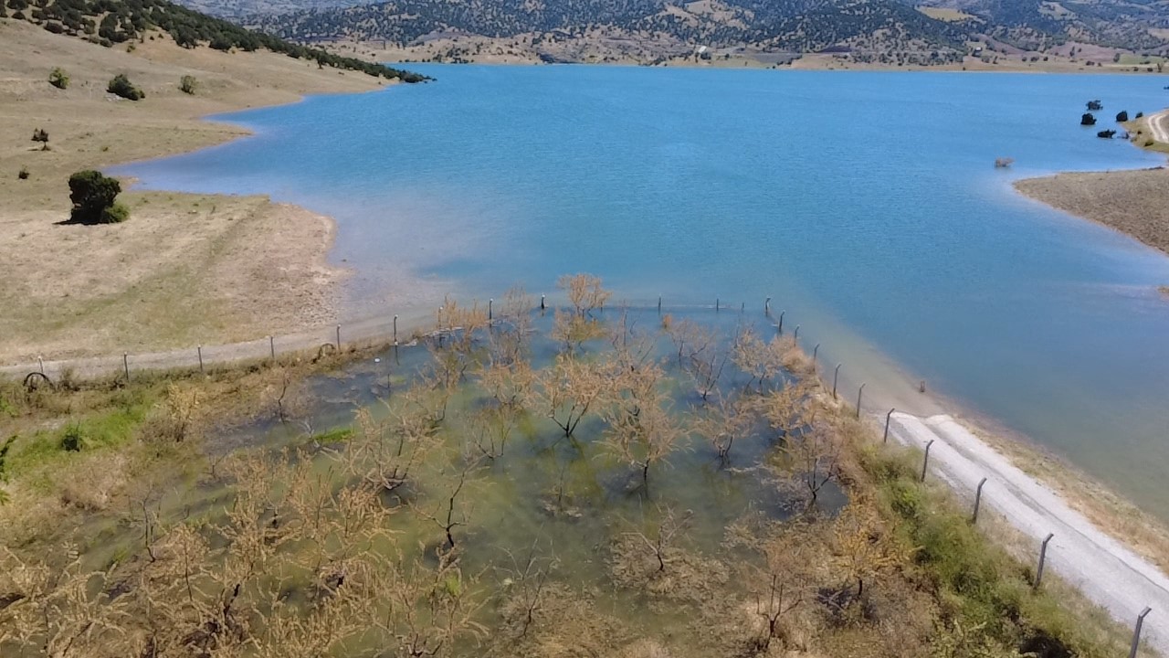 Yozgat'ta badem ağaçları sular altında kaldı