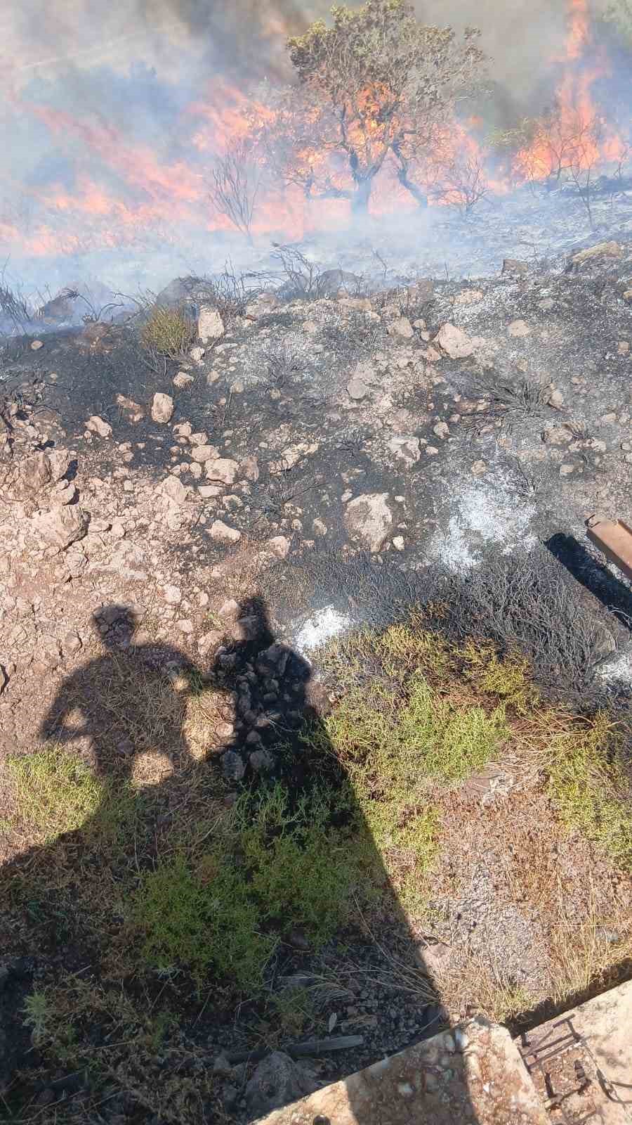 Ayvacık’ta makilik alanda yangın çıktı