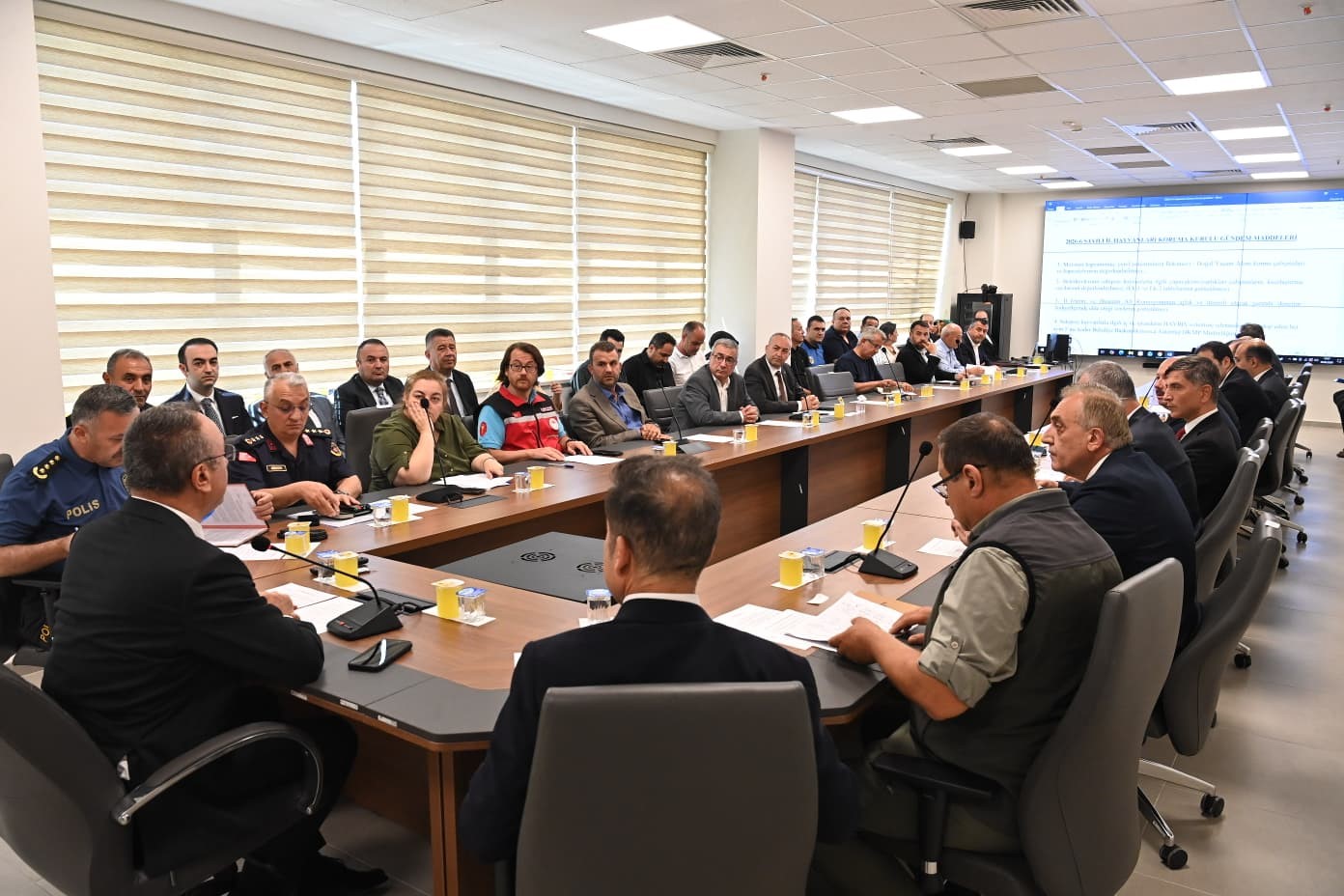 Tekirdağ’da ’İl Hayvanları Koruma Kurulu’ toplandı: Sahipsiz hayvanlara yönelik çalışmalar masaya yatırıldı