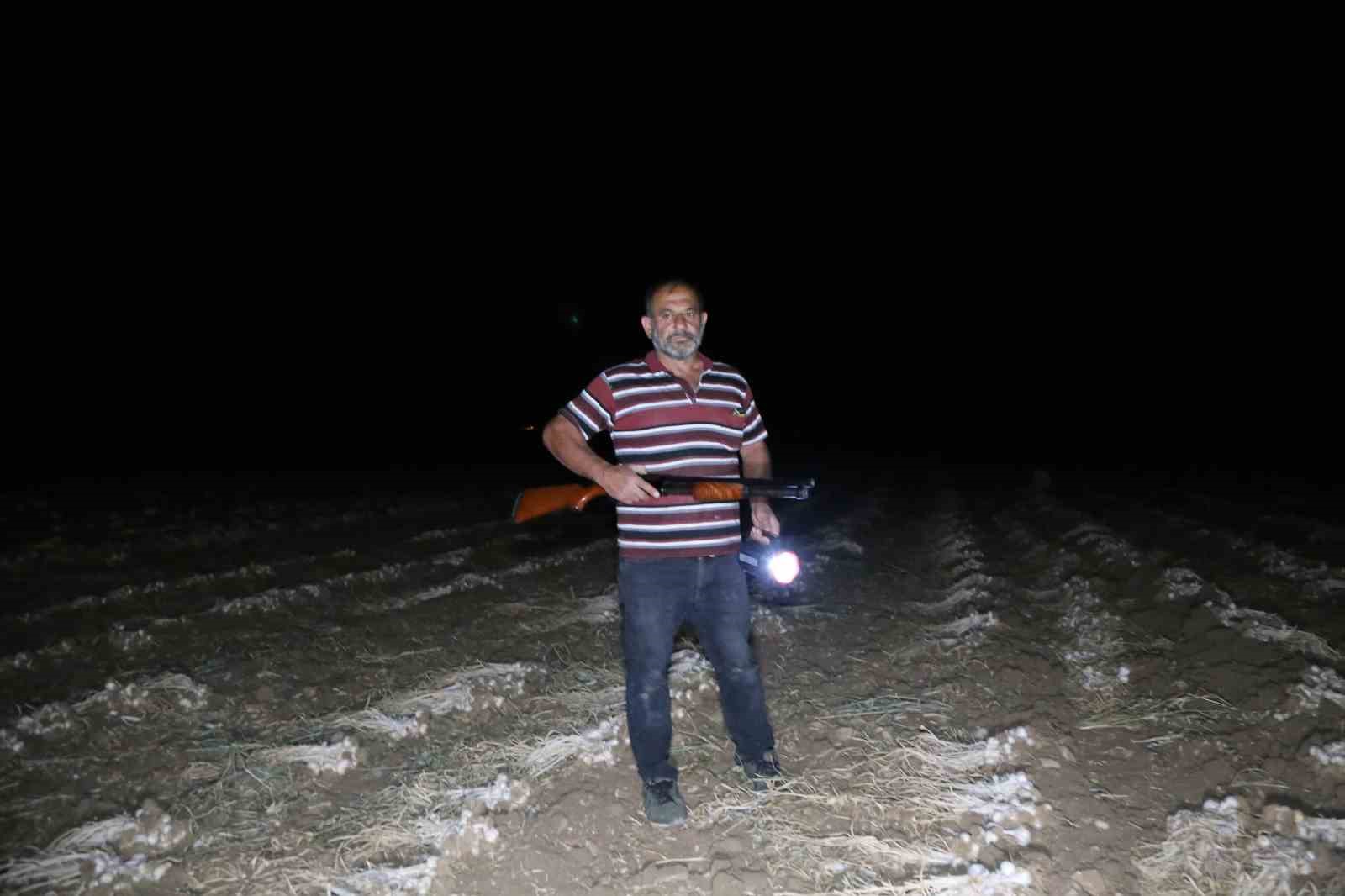 news_img
