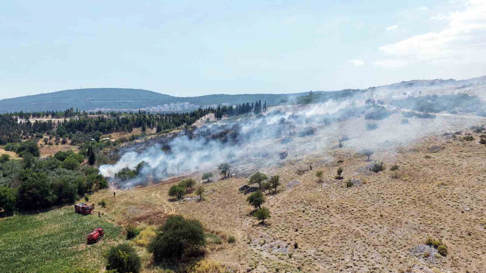 Menteşe'deki makilik yangını kontrol altına alındı