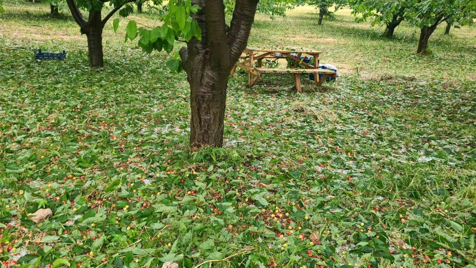 Çameli’de dolu yağışında seralar ve tarlalar saniyeler içinde beyaza büründü