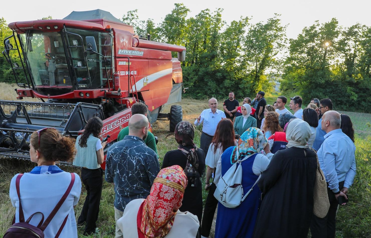 Düzce'de ilk kez yetişen siyez buğdayının hasadı yapıldı