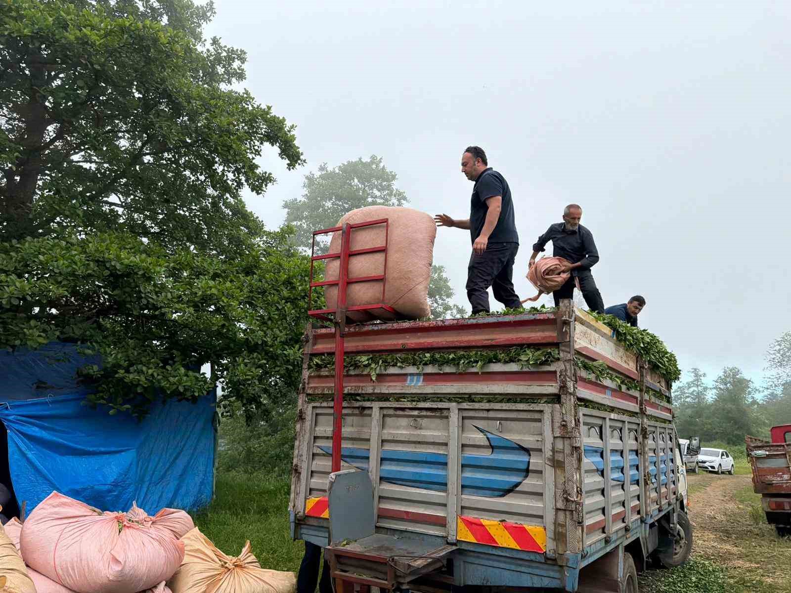 Karadeniz insanı yine zekasını konuşturdu, zor işi kolaylaştırdı