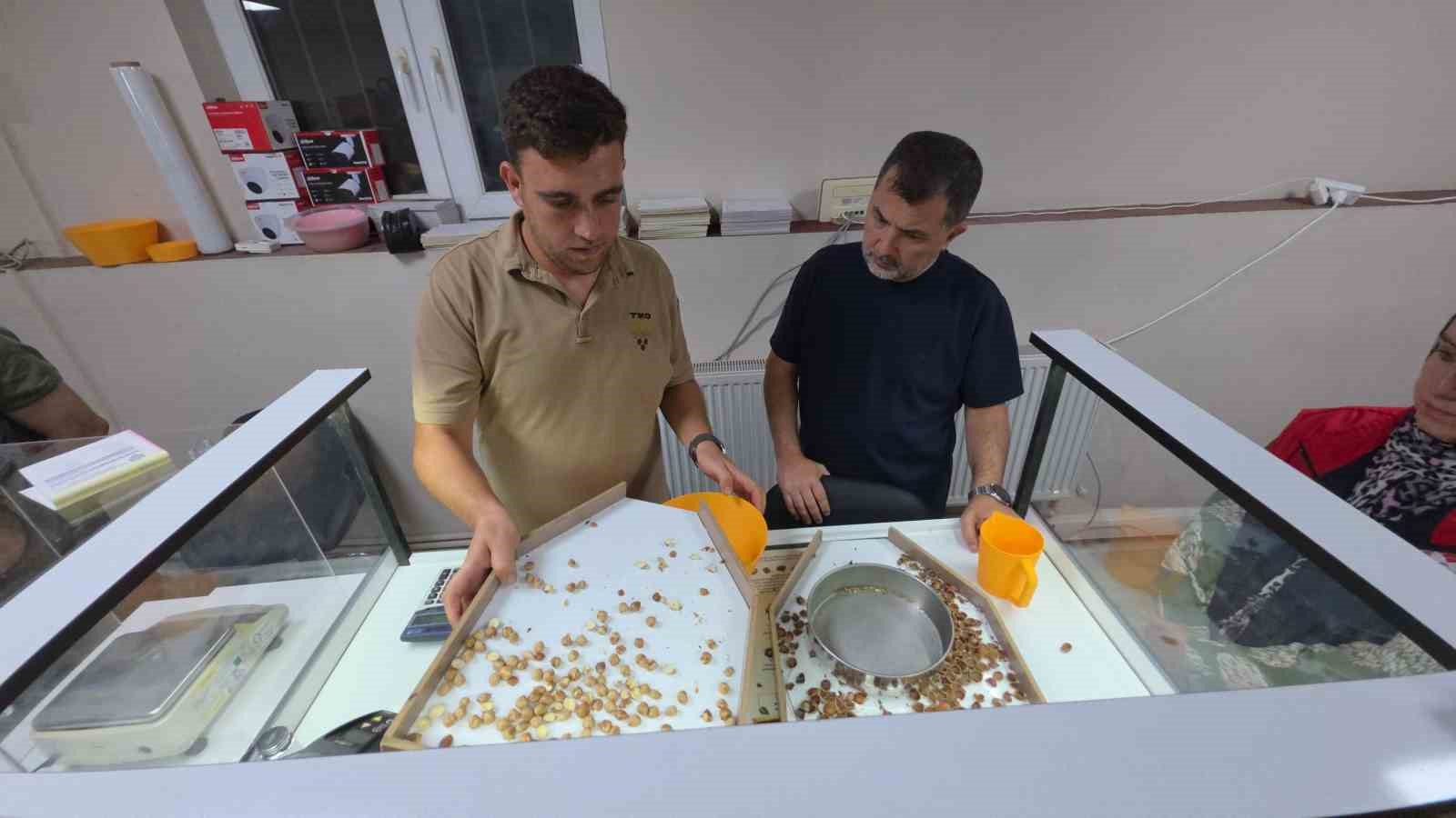 Fındık alımı başladı, araçlar kapı önünde kuyruk oldu