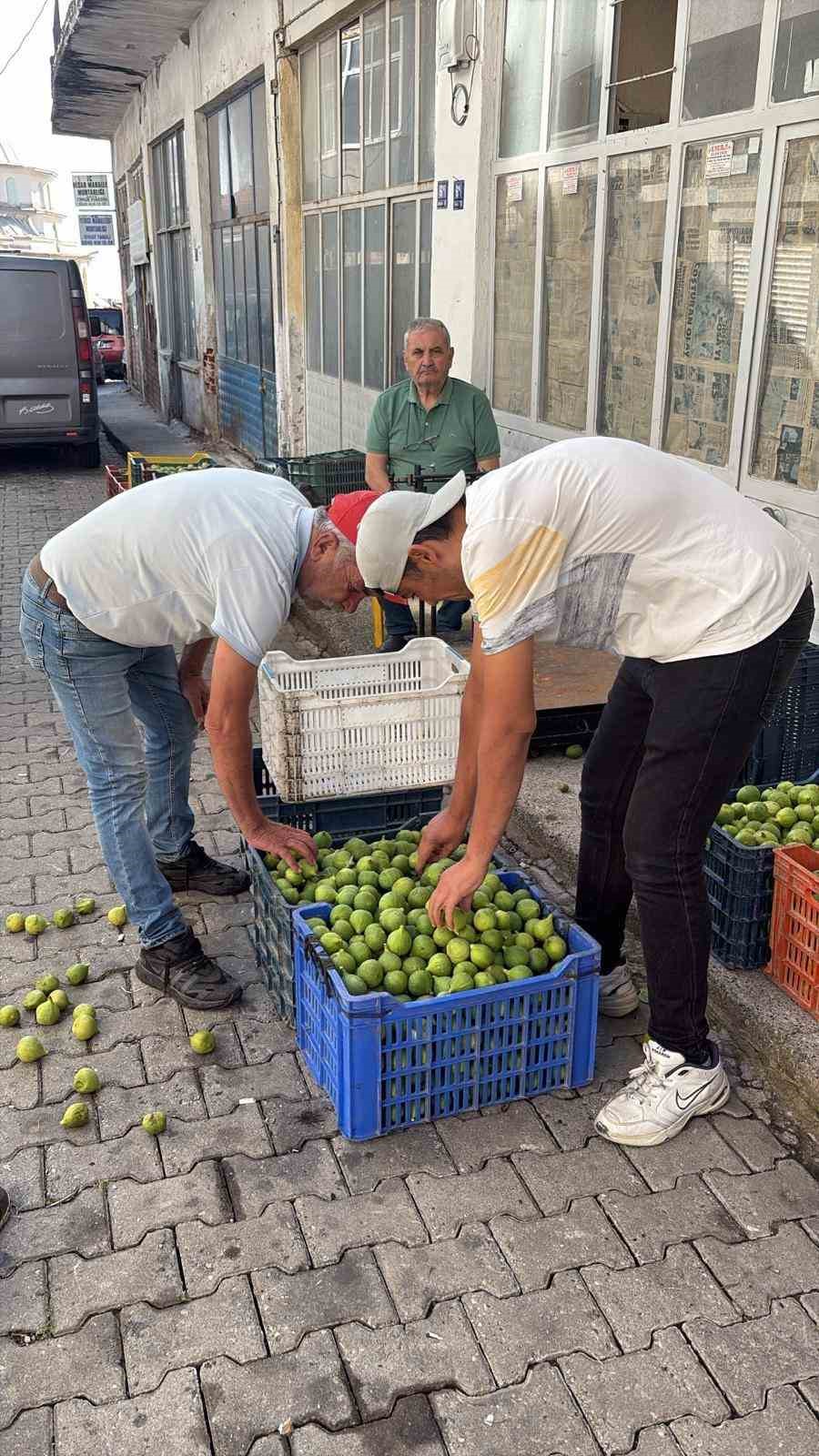 Bozdoğan ileği kalitesiyle üreticilerin ilk tercihi arasında