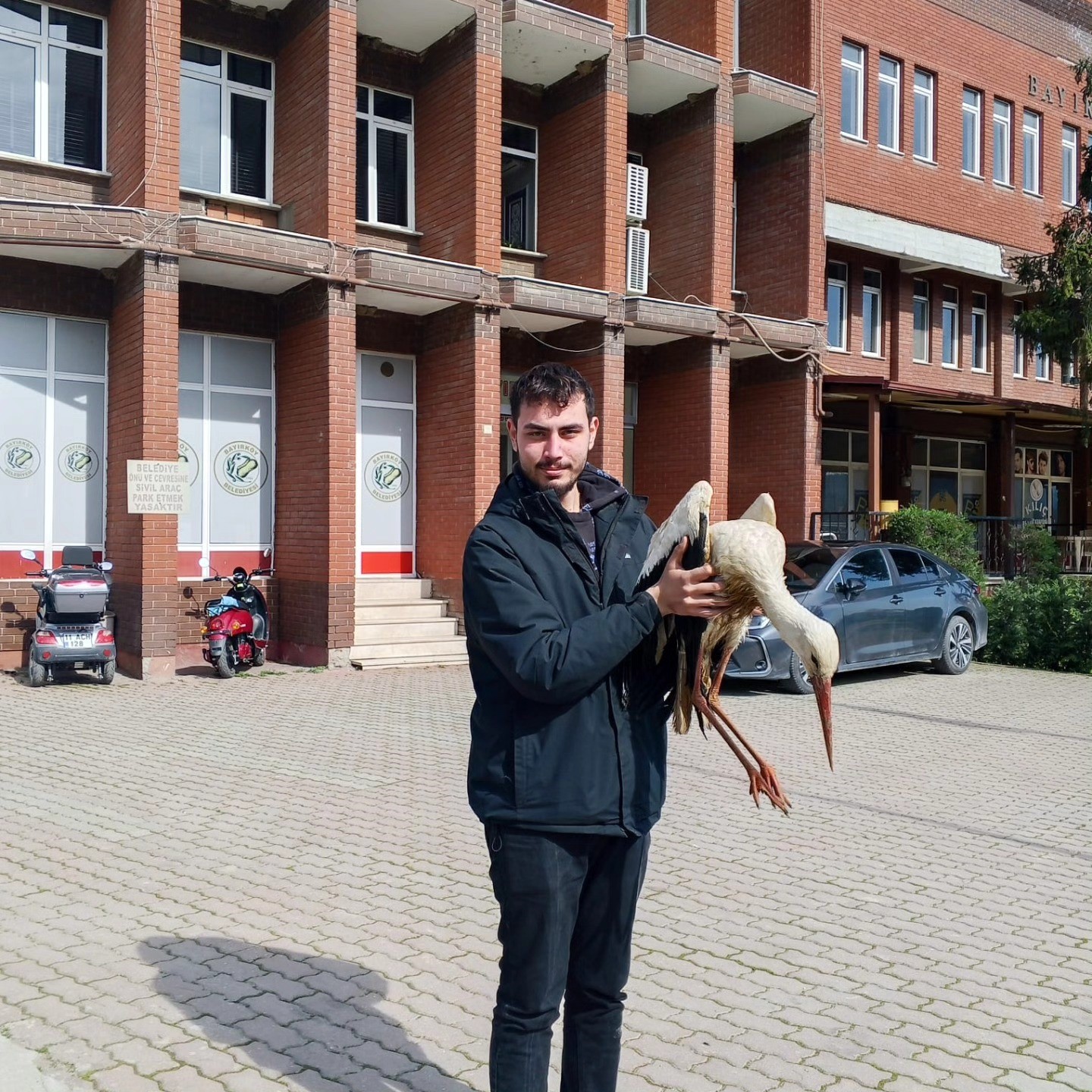 Bilecik'te yaralı leylek koruma altına alındı