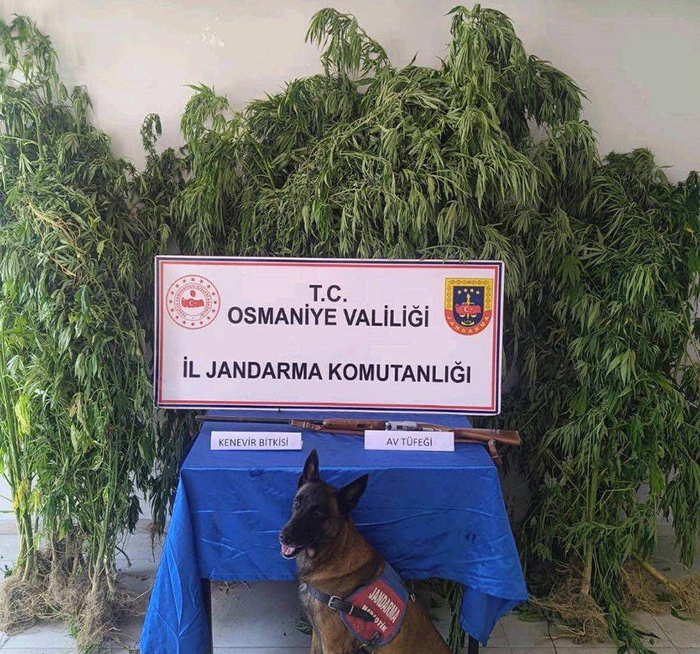 Osmaniye’de jandarma bir haftada 128 şüpheli yakaladı