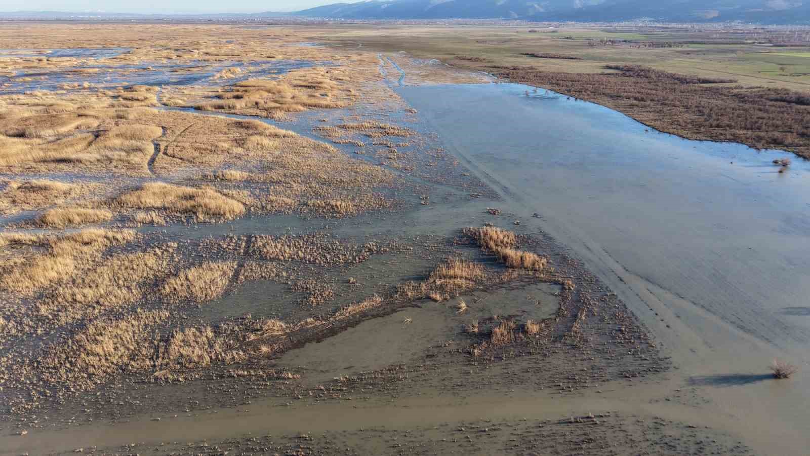 Akşehir Gölü'nde yıllardır görülmeyen oldu