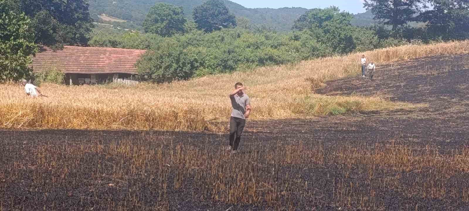 Çan’da tarla yangınında 2 ekili alan kül oldu