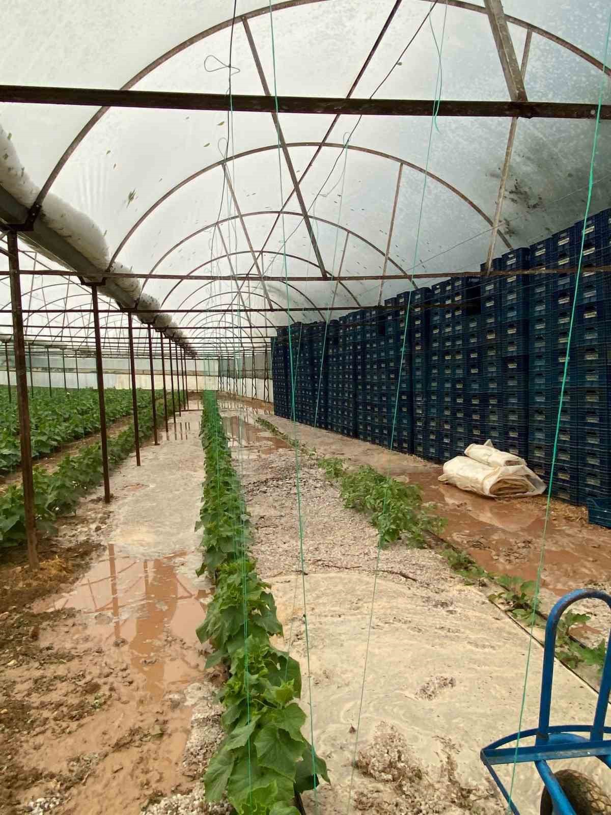 Çameli’de dolu yağışında seralar ve tarlalar saniyeler içinde beyaza büründü
