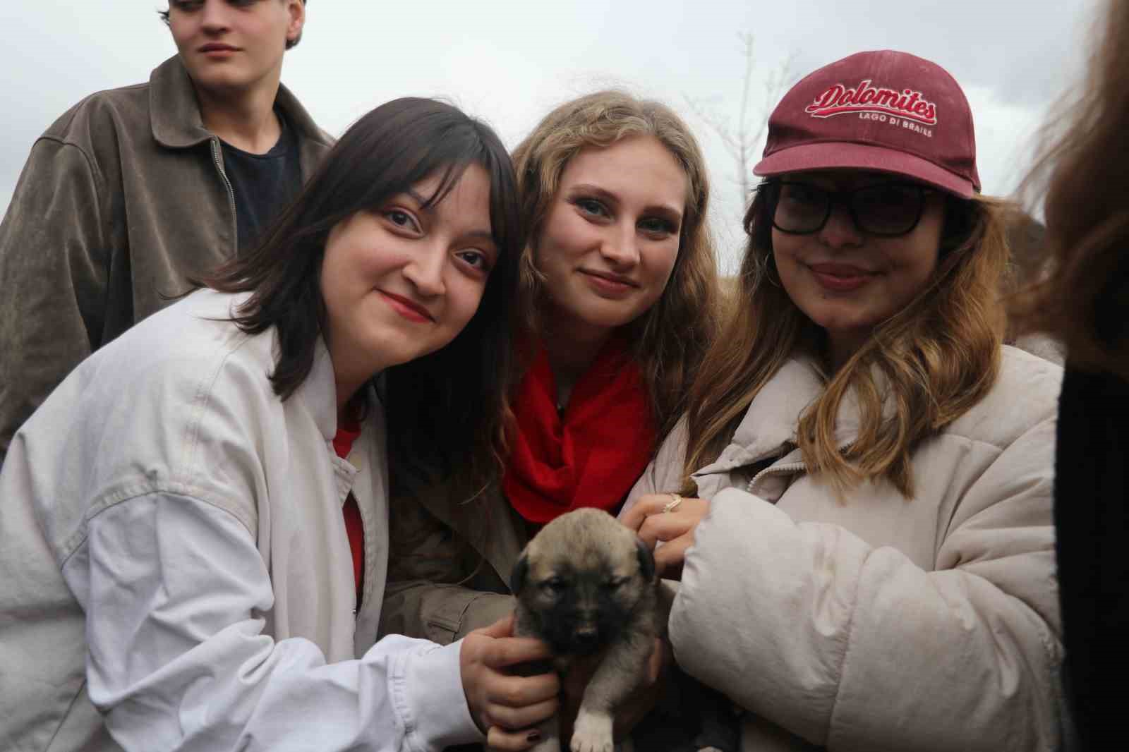 SİVAS’IN DÜNYACA ÜNLÜ MARKASI OLAN KANGAL KÖPEKLERİNİ GÖRMEK İSTEYEN YABANCI UYRUKLU ÖĞRENCİLER HAYRAN KALDI. YAVRU KANGALLARLA YAKINDAN İLGİLENEN ÖĞRENCİLER, BÜYÜK KANGALLARA İSE YAKLAŞMAKTA ZORLANDI.