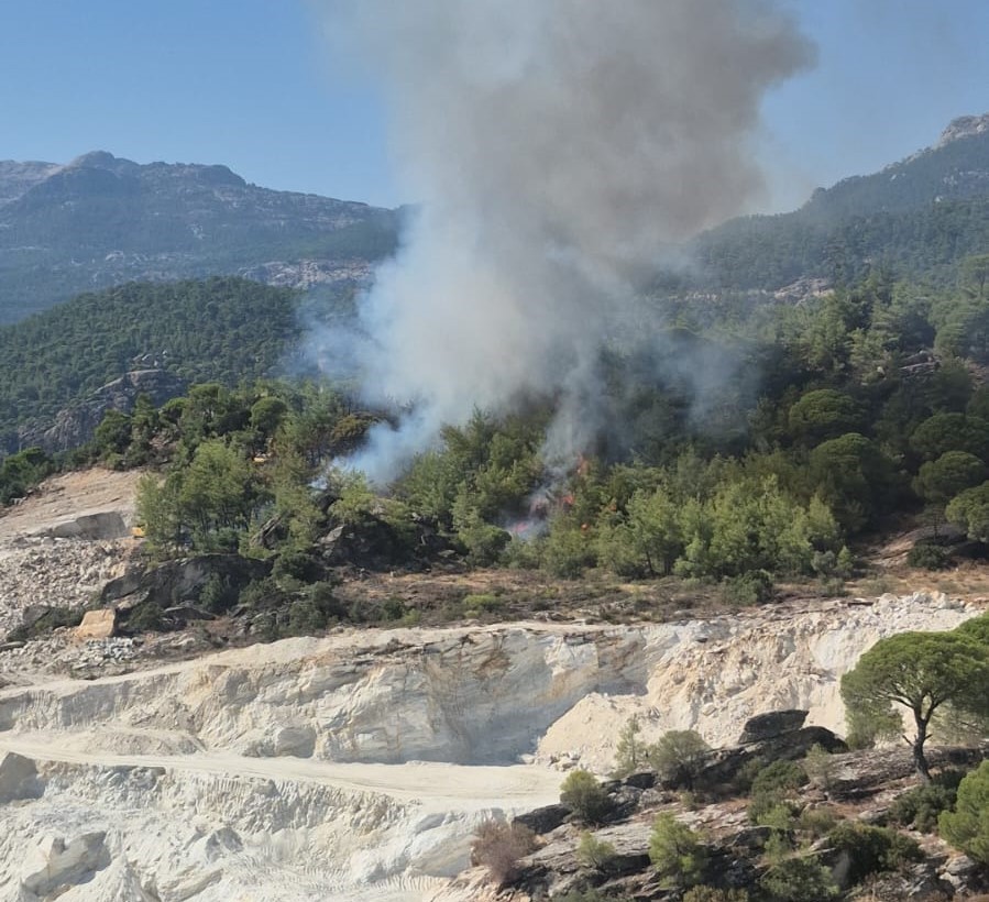 Milas’ta orman yangını