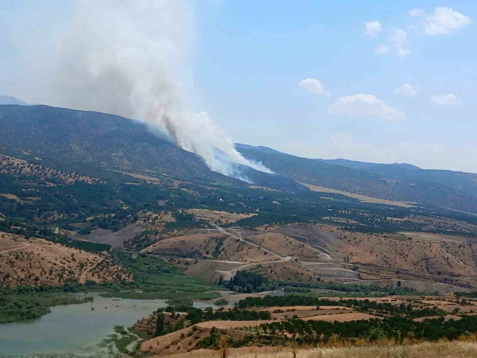 Pütürge'de orman yangını