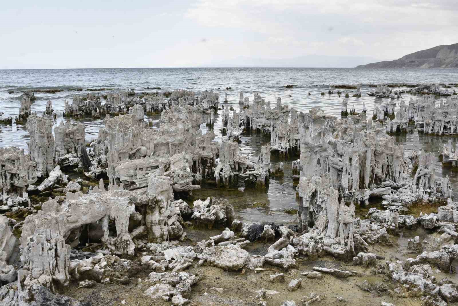 ASAD’IN UYDU GÖRÜNTÜLERİ VE COĞRAFİ BİLGİ SİSTEMLERİ KULLANARAK GERÇEKLEŞTİRDİĞİ ANALİZLERDE, VAN GÖLÜ’NÜN SU YÜZEY ALANININ 1990-2025 YILLARI ARASINDA YAKLAŞIK 31 KİLOMETREKARE AZALDIĞI BELİRLENDİ. ALAN KAYBININ YÜZDE 87’SİNİN İSE SON 10 YILDA GERÇEKLEŞTİĞİ TESPİT EDİLDİ.