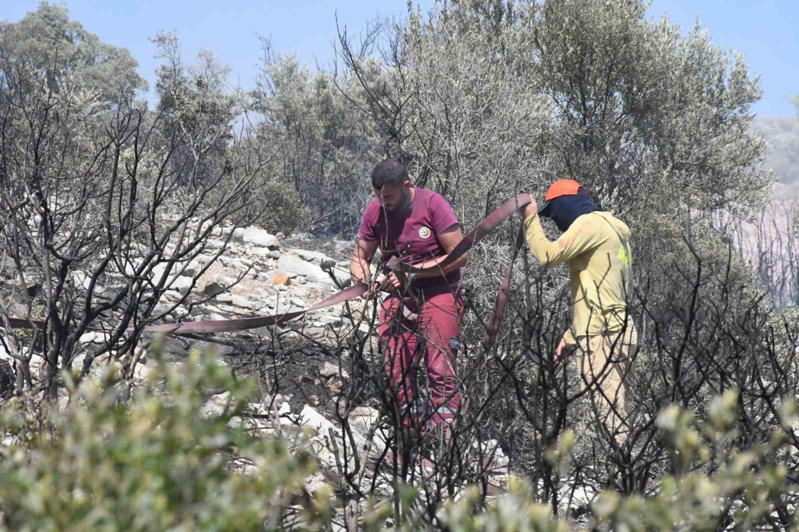 İzmir'de ormanlık alanda çıkan yangın erken müdahaleyle kontrol altında