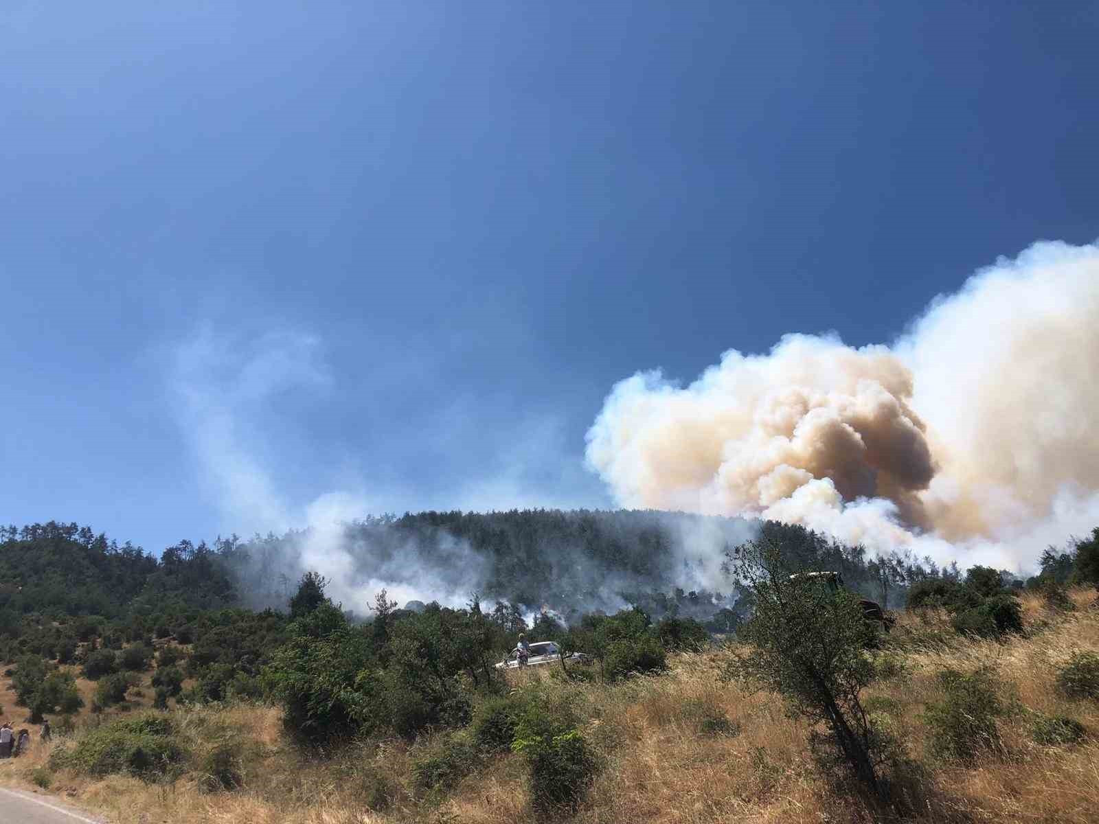 Balıkesir Kepsut'ta orman yangını