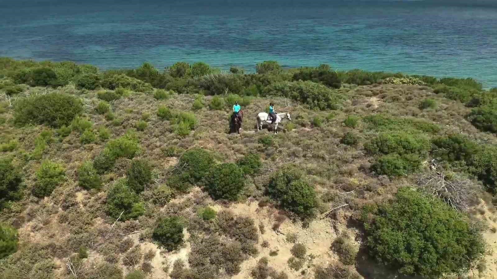 Çanakkale'de orman yangınlarına karşı ekipleri sahada