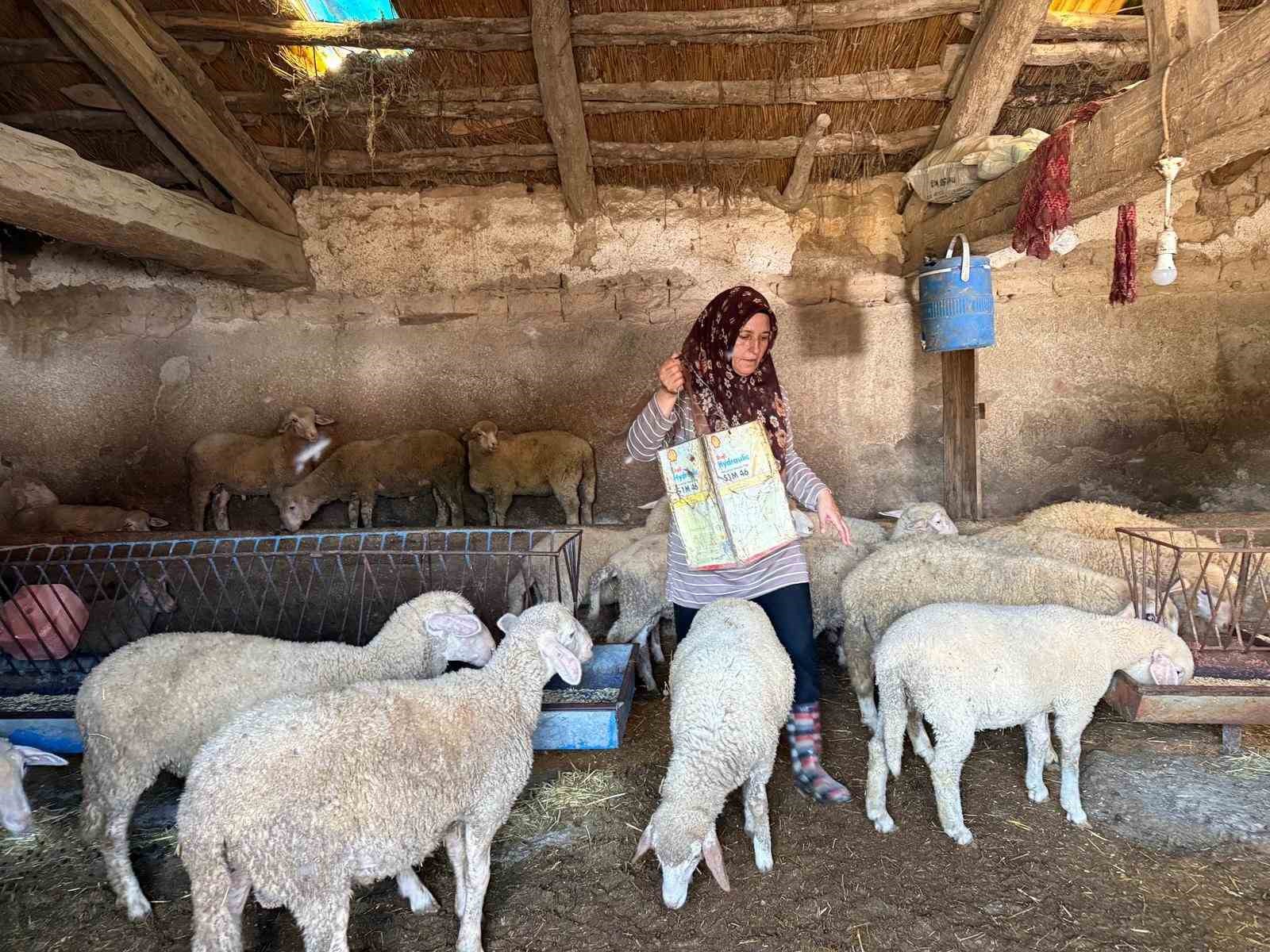 'Hayvanlara büyü yaptı' denilerek vahşice öldürülen adamın karısı tek başına çobanlık yaparak 2 oğlunu okutmaya çalışıyor
