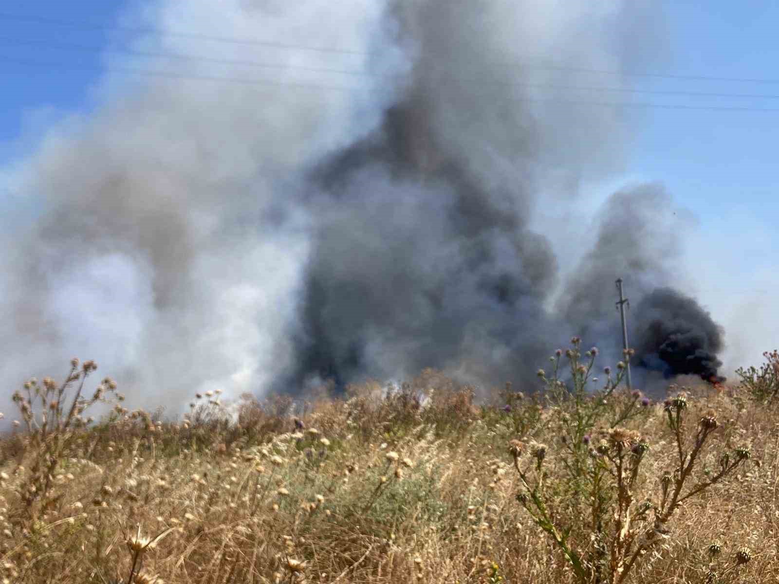 Bandırma'da otluk alanda çıkan yangın söndürüldü