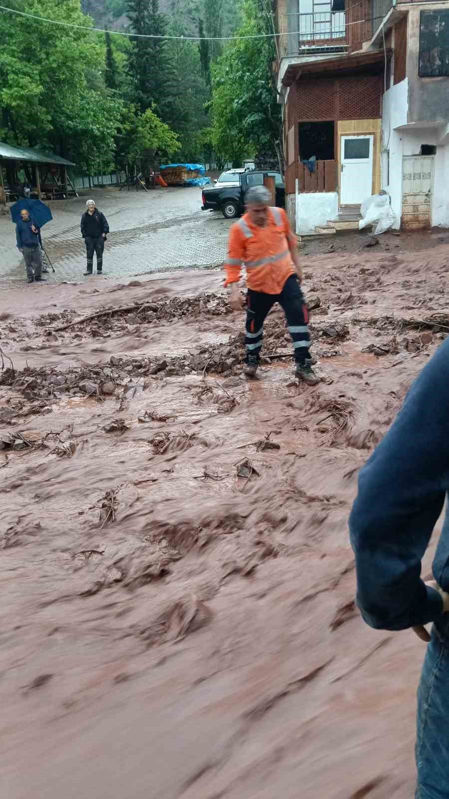 Artvin’de sağanak sonrası dereler taştı