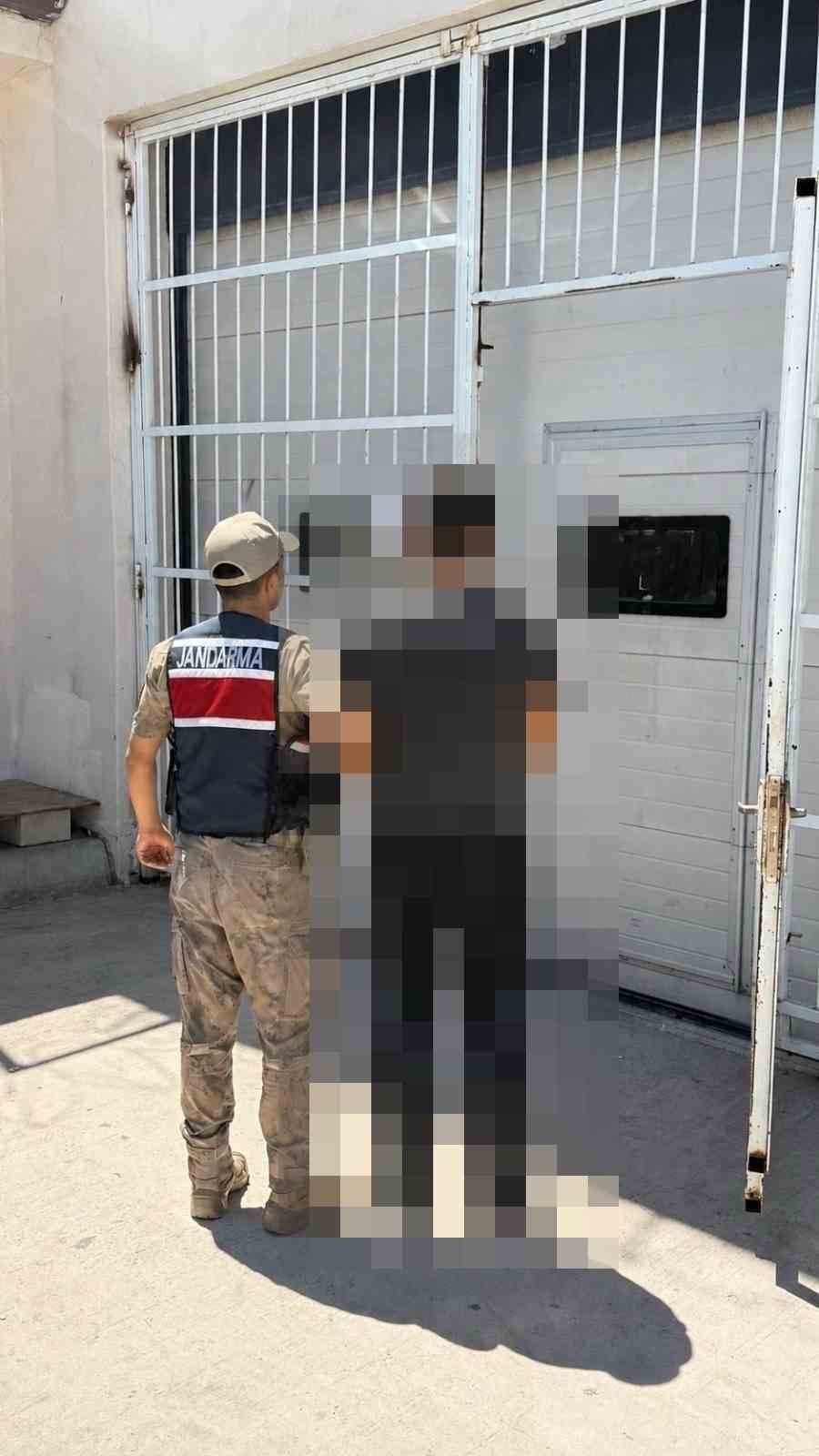 Siverek'te 10 yıl hapis cezası bulunan yağma hükümlüsü yakalandı