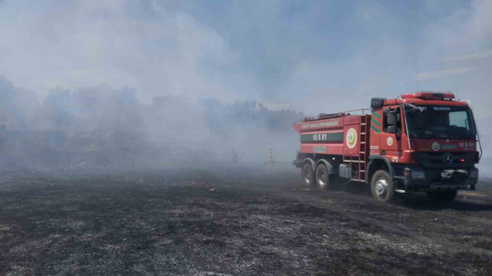 Burhaniye’de örtü yangını zeytinliklere sıçramadan kontrol altına alındı