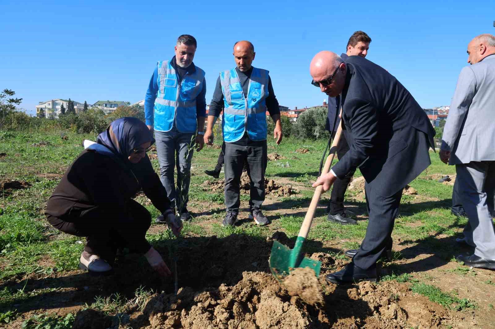 Darıca'da Zeytin Festivali kapsamında 100 fidan dikildi