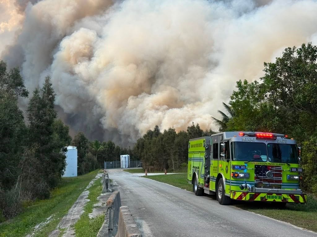 ABD’de orman yangınları: 2 bin hektarlık alan kül oldu