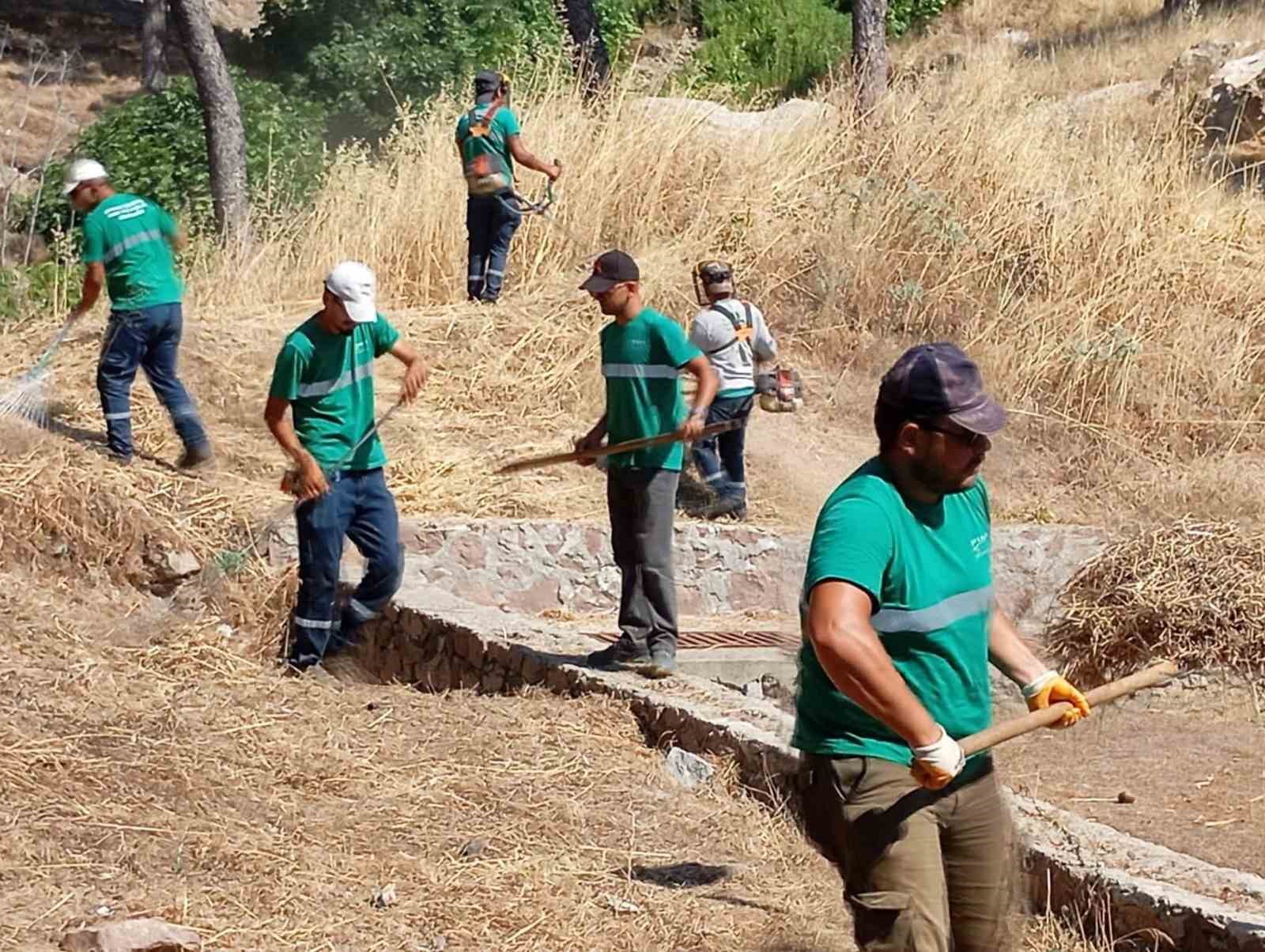 Yangınlara karşı Ayvalık'ta kuru ot temizliği aralıksız sürüyor