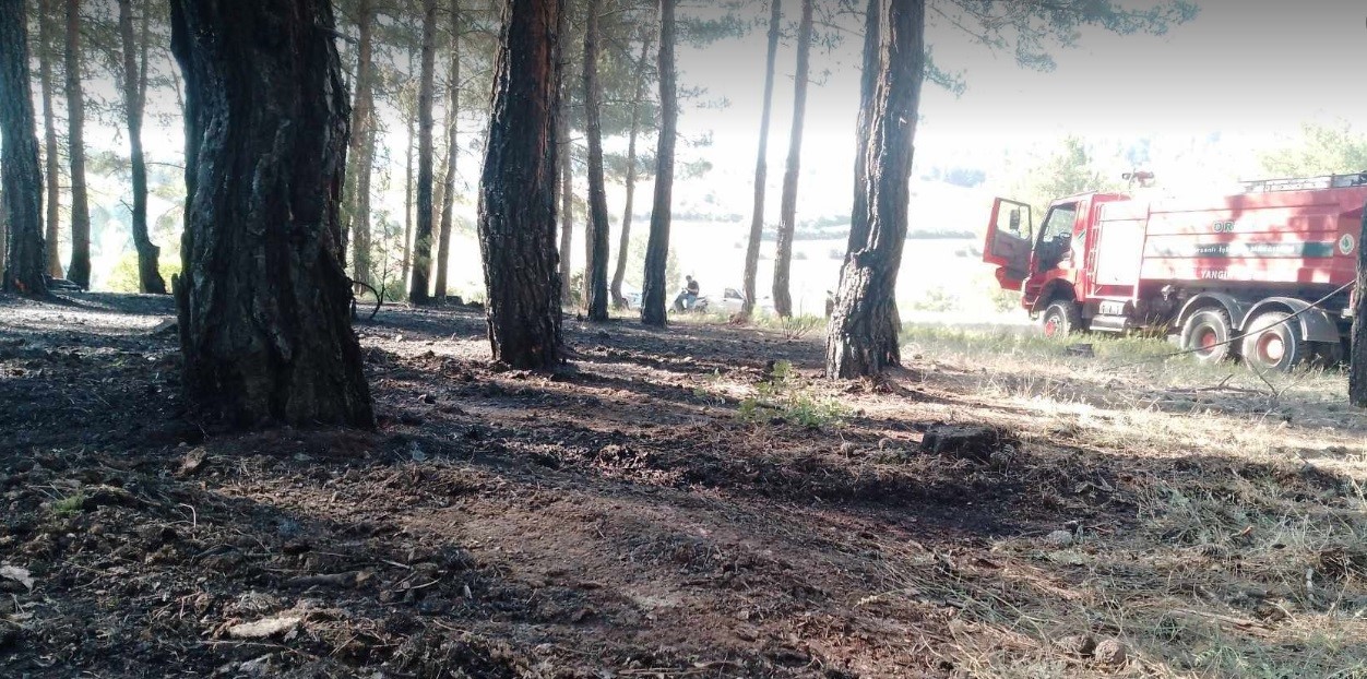 Tavşanlı'da erken müdahale ormanı kurtardı