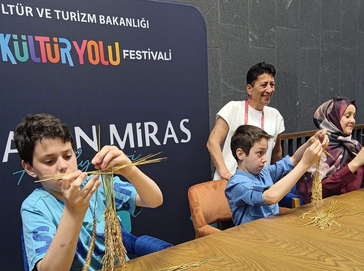 Bafra pirincinin başakları bereket süsü oldu