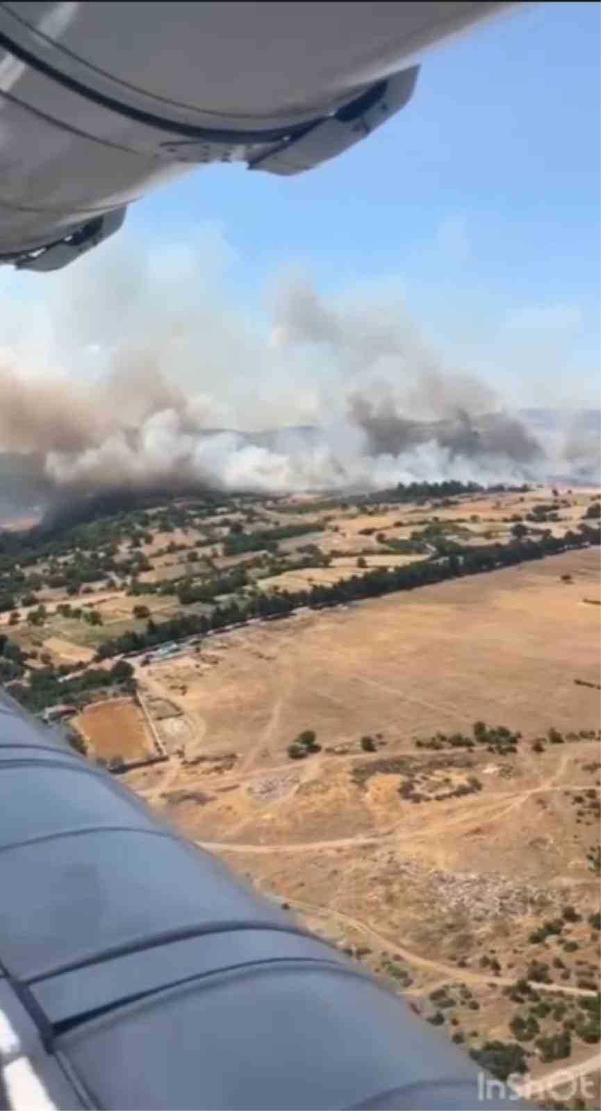 Balıkesir Altıeylül'de orman yangını