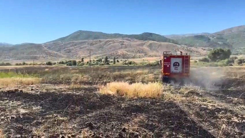 Elazığ'da arazi yangını