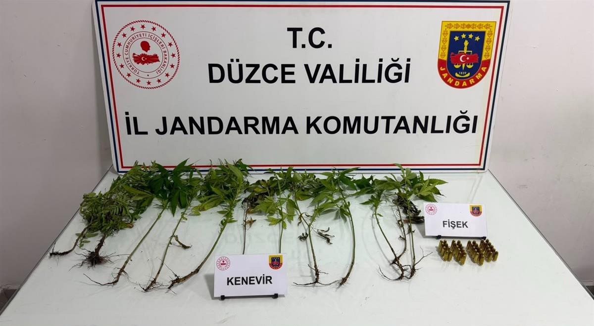 Düzce'de jandarmadan uyuşturucu operasyonu