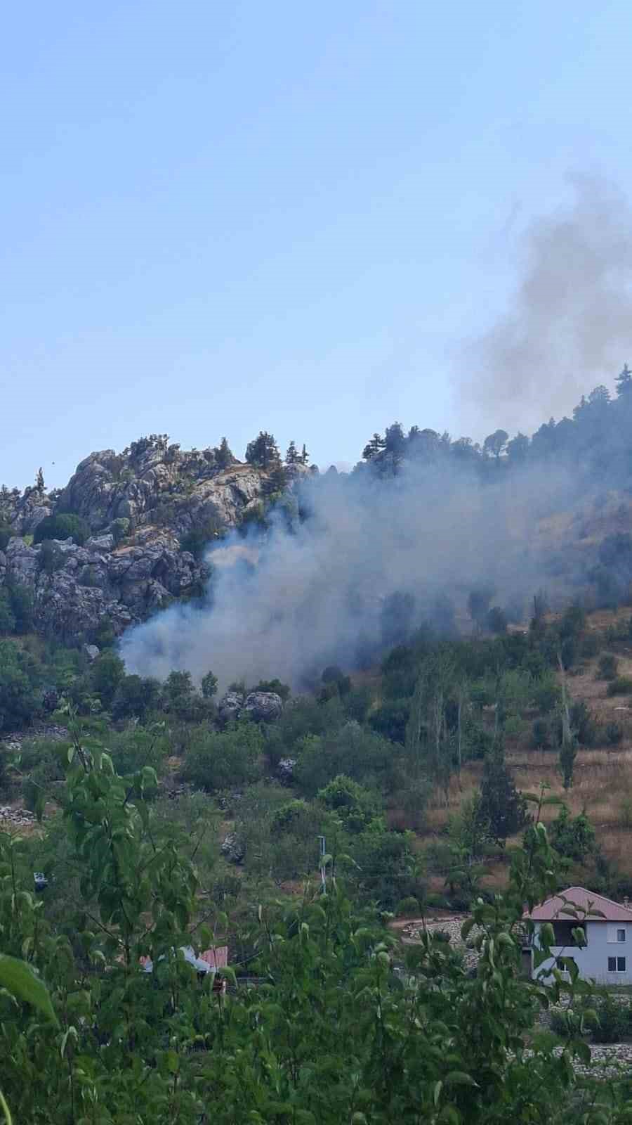 Alanya'da zirai alanda çıkan yangın söndürüldü