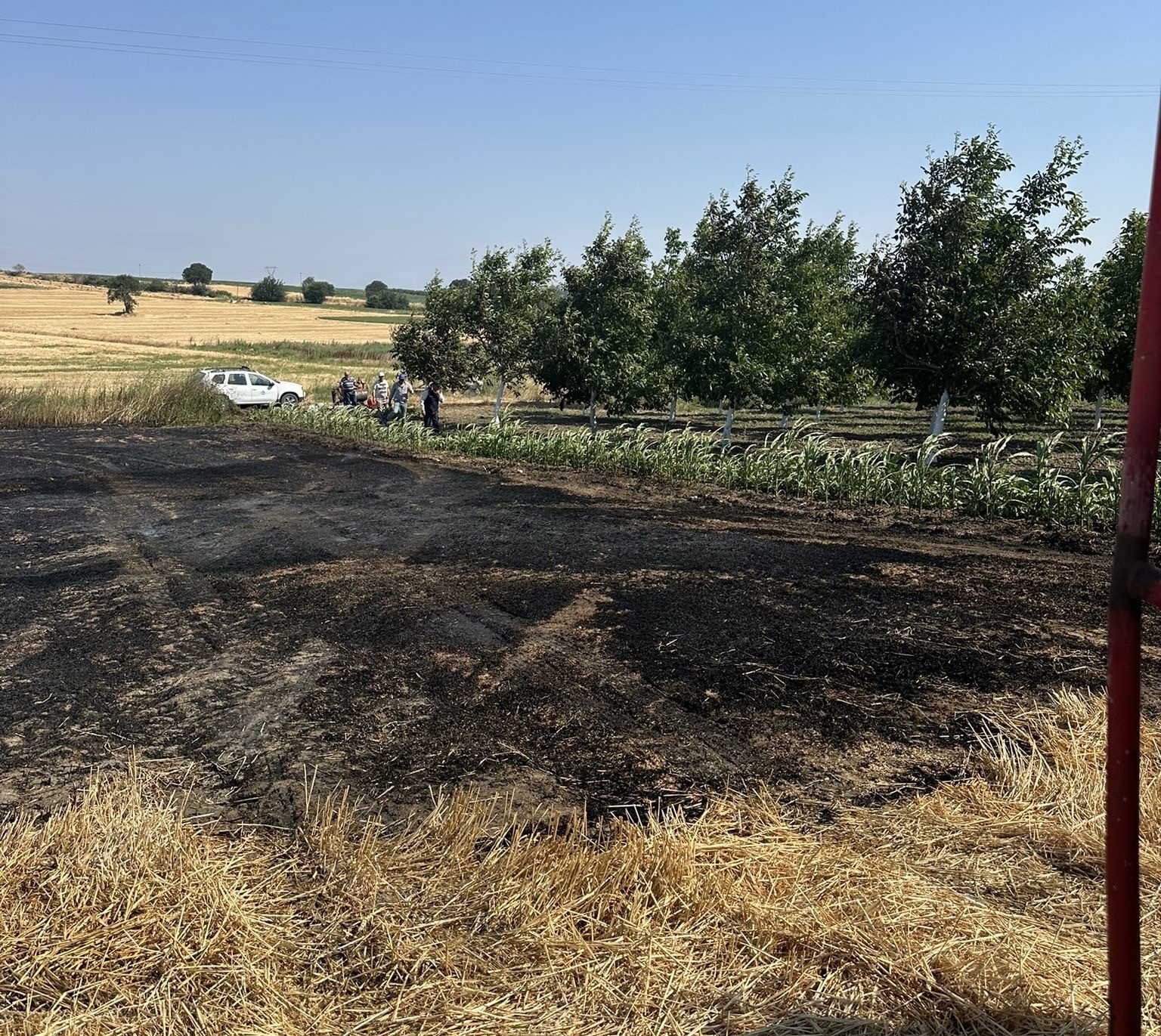 Bandırma'da çıkan anız yangını büyümeden söndürüldü
