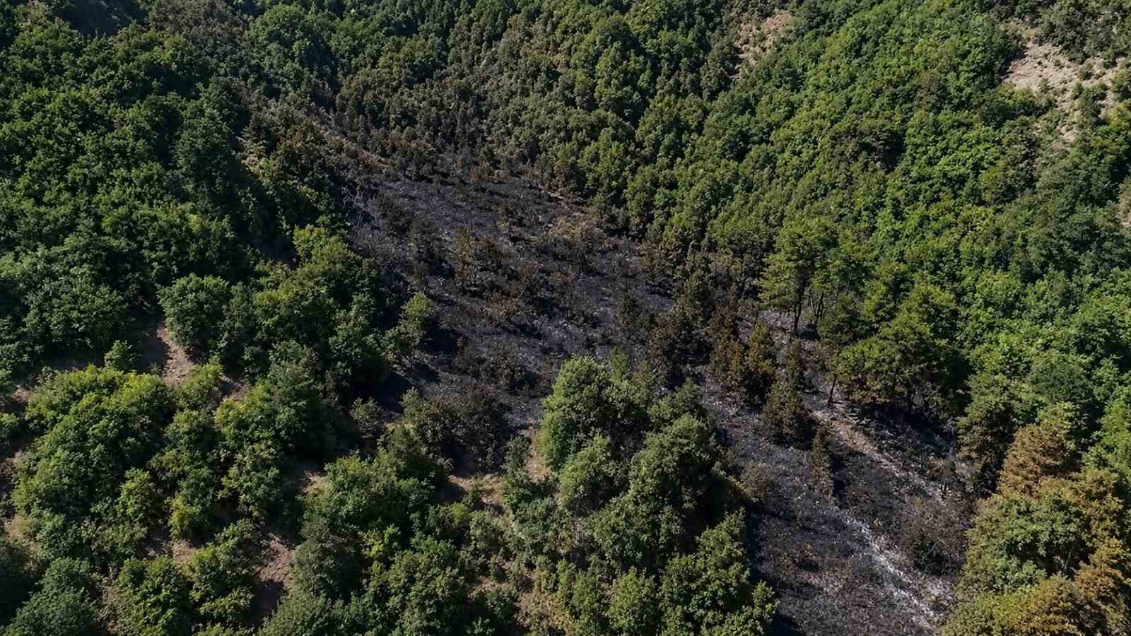 Sinop’taki orman yangını kontrol altına alındı