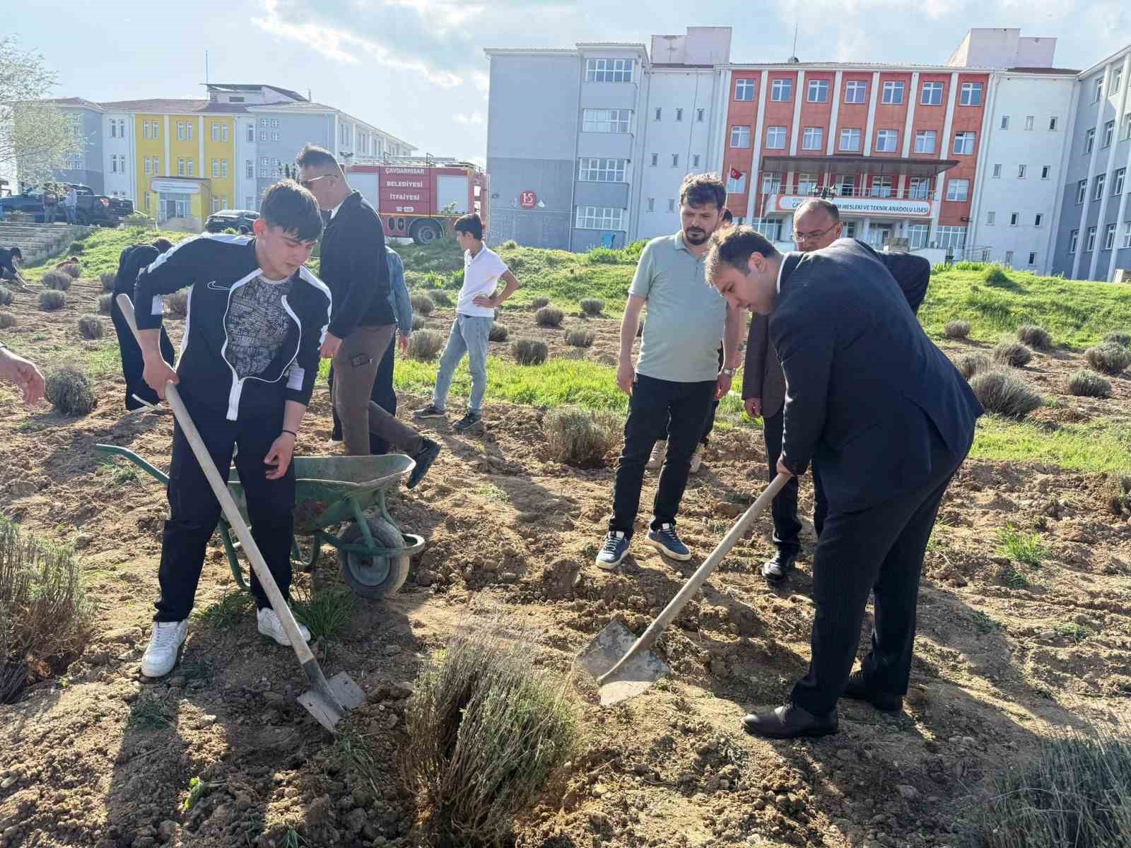Çavdarhisar'da öğrenciler okulun tarım alanına lavanta fidanı dikti