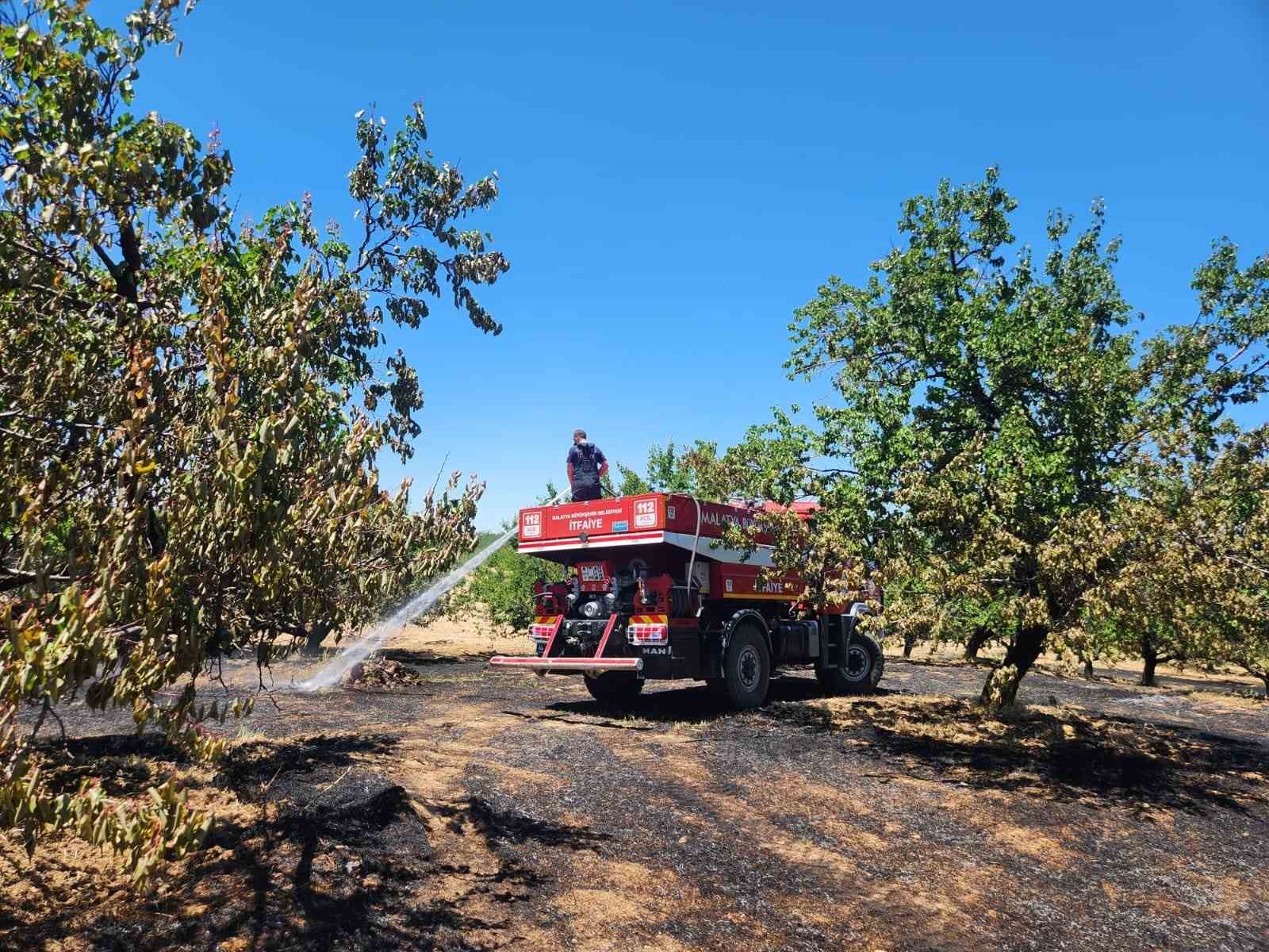 Malatya’da bahçe ve orman yangını