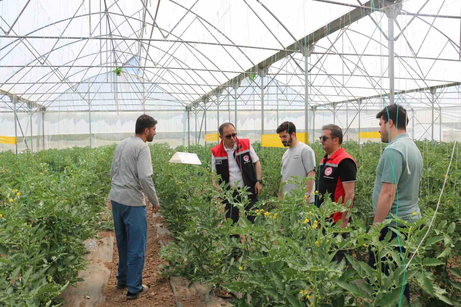 Erzincan'da seracılık faaliyetleri yerinde incelendi