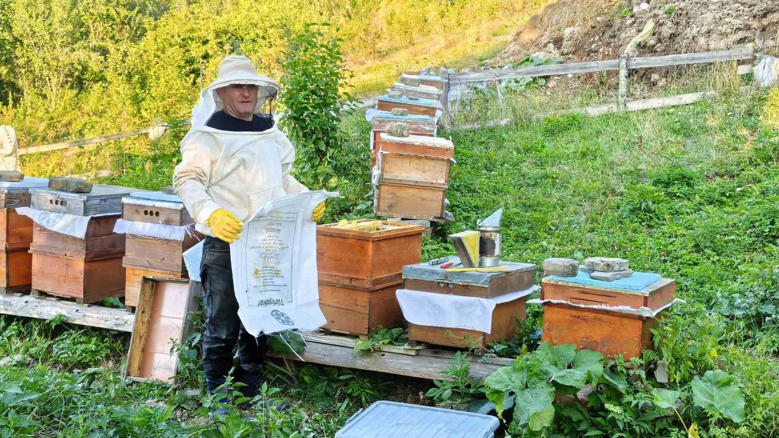 Sinop’un köyünden sofralara doğal bal yolculuğu