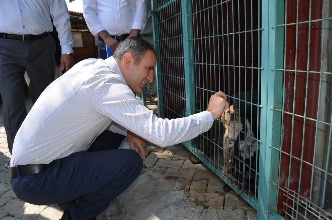 Bayındır'da hayvan bakım evi ve doğal yaşam alanında inceleme